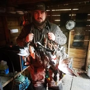 Meet your Posher, Logan